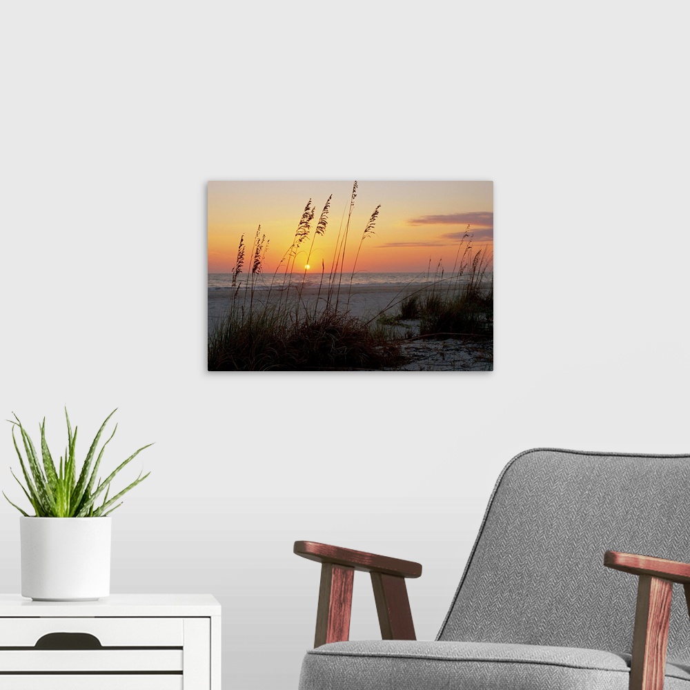 A modern room featuring Sunset, Gulf Coast, Longboat Key,  Anna Maria Island, Beach, Florida