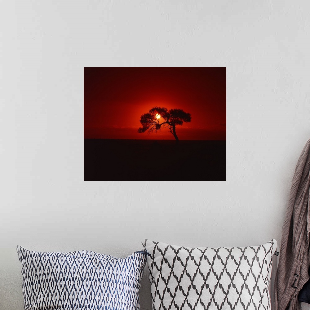 A bohemian room featuring Sunset, Mundi Mundi Plains, New South Wales, Australia