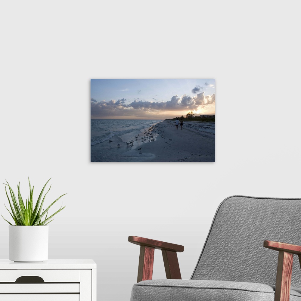 A modern room featuring Sunset on beach, Sanibel Island, Gulf Coast, Florida