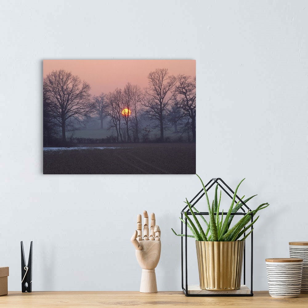 A bohemian room featuring Sunset over farmland and bare trees in silhouette, Kent, England