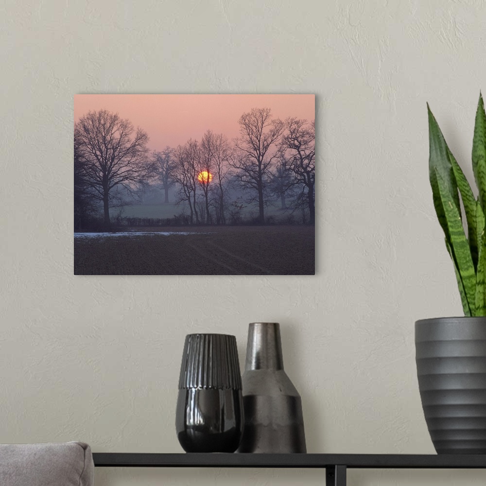 A modern room featuring Sunset over farmland and bare trees in silhouette, Kent, England