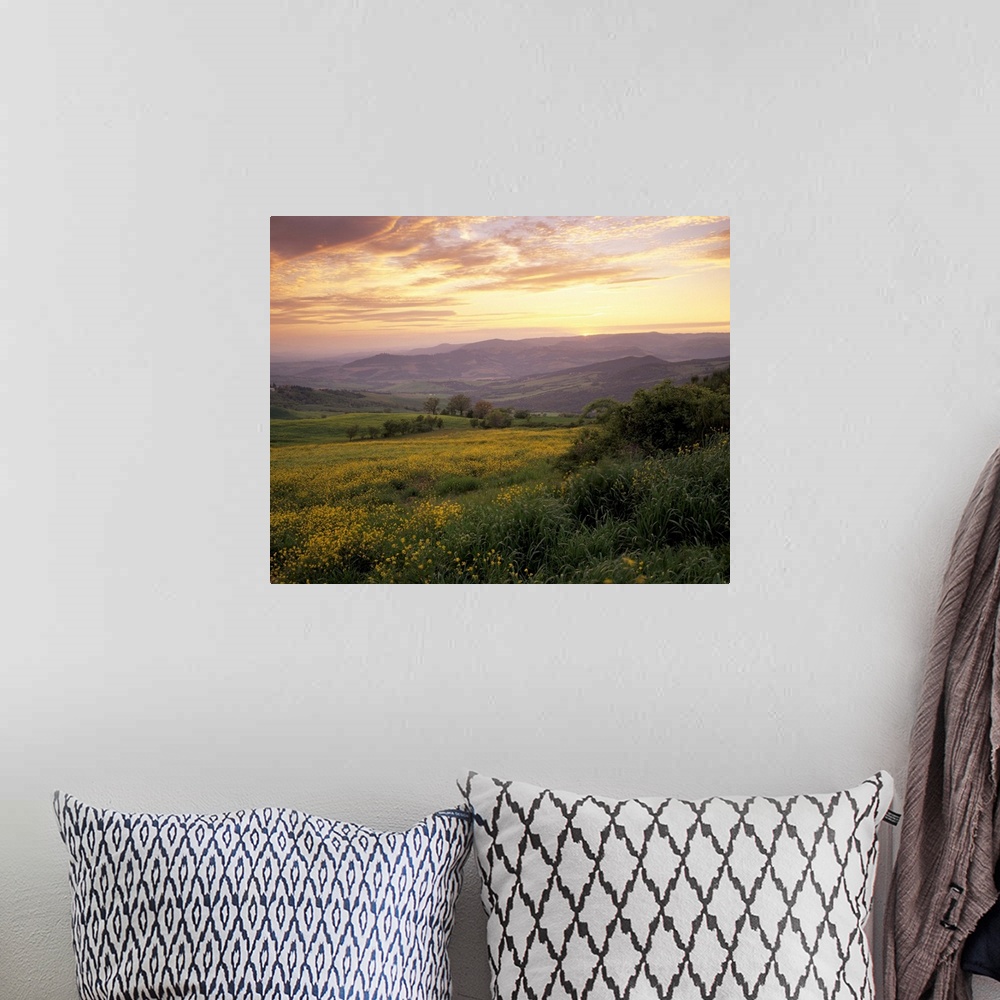 A bohemian room featuring Sunset over Val d'Orcia, near Castiglione d'Orcia, Tuscany, Italy