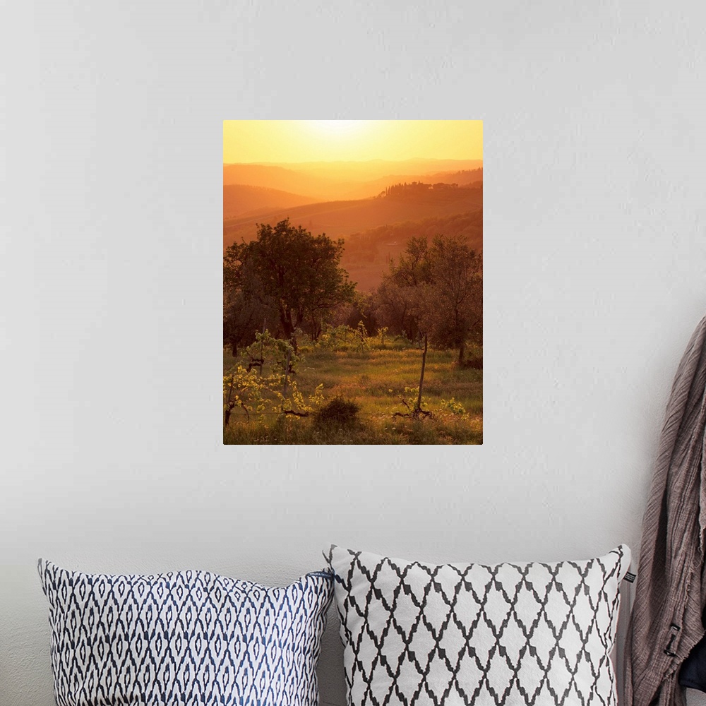 A bohemian room featuring Sunset over vineyards near Panzano in Chianti, Tuscany, Italy