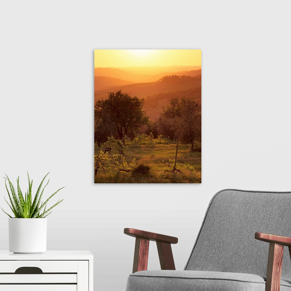 A modern room featuring Sunset over vineyards near Panzano in Chianti, Tuscany, Italy