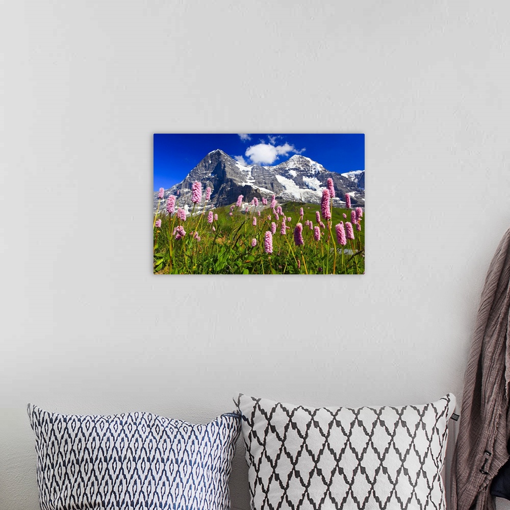 A bohemian room featuring Swiss Alps, Eiger and Moench, Bernese Oberland, Switzerland