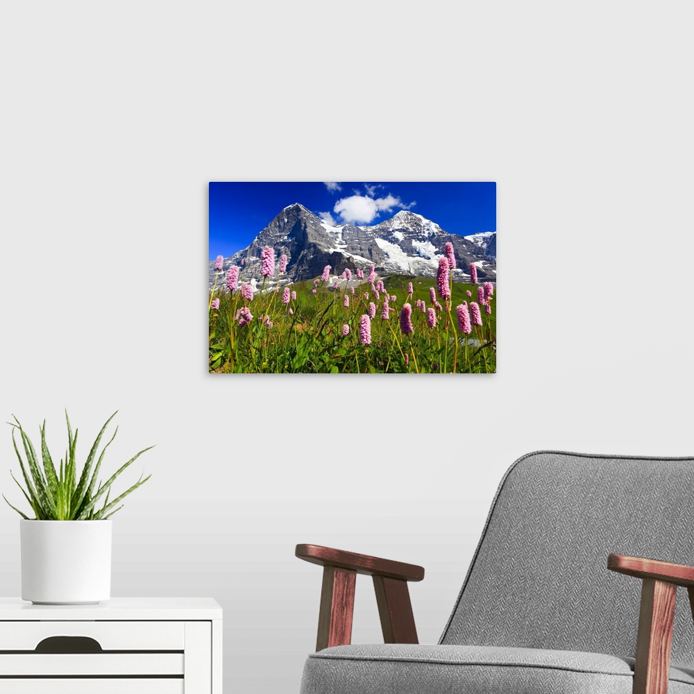 A modern room featuring Swiss Alps, Eiger and Moench, Bernese Oberland, Switzerland