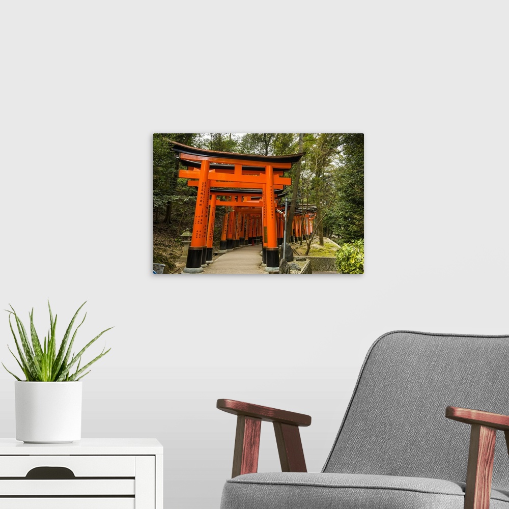 A modern room featuring The Endless Red Gates (torii) of Kyoto's Fushimi Inari Shrine, Kyoto, Japan, Asia.