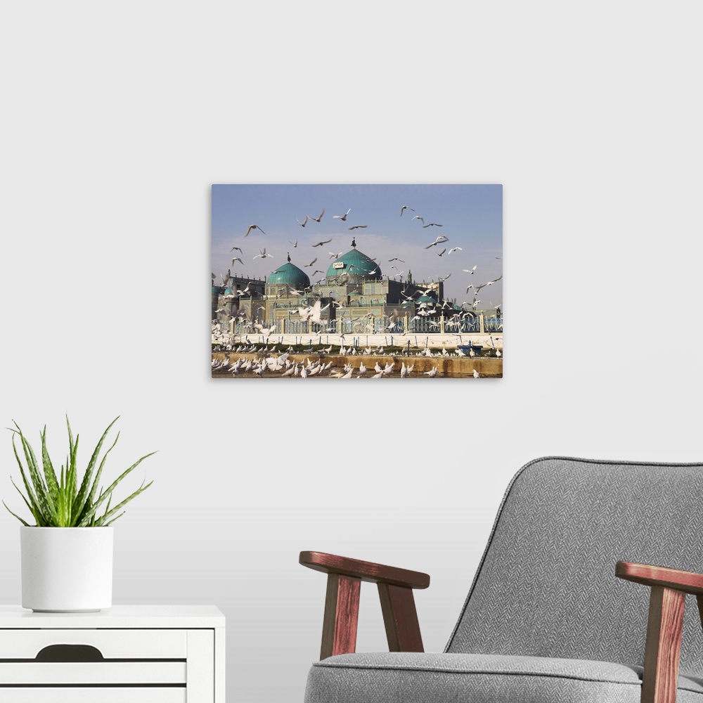 A modern room featuring The famous white pigeons, Mazar-I-Sharif, Balkh province, Afghanistan
