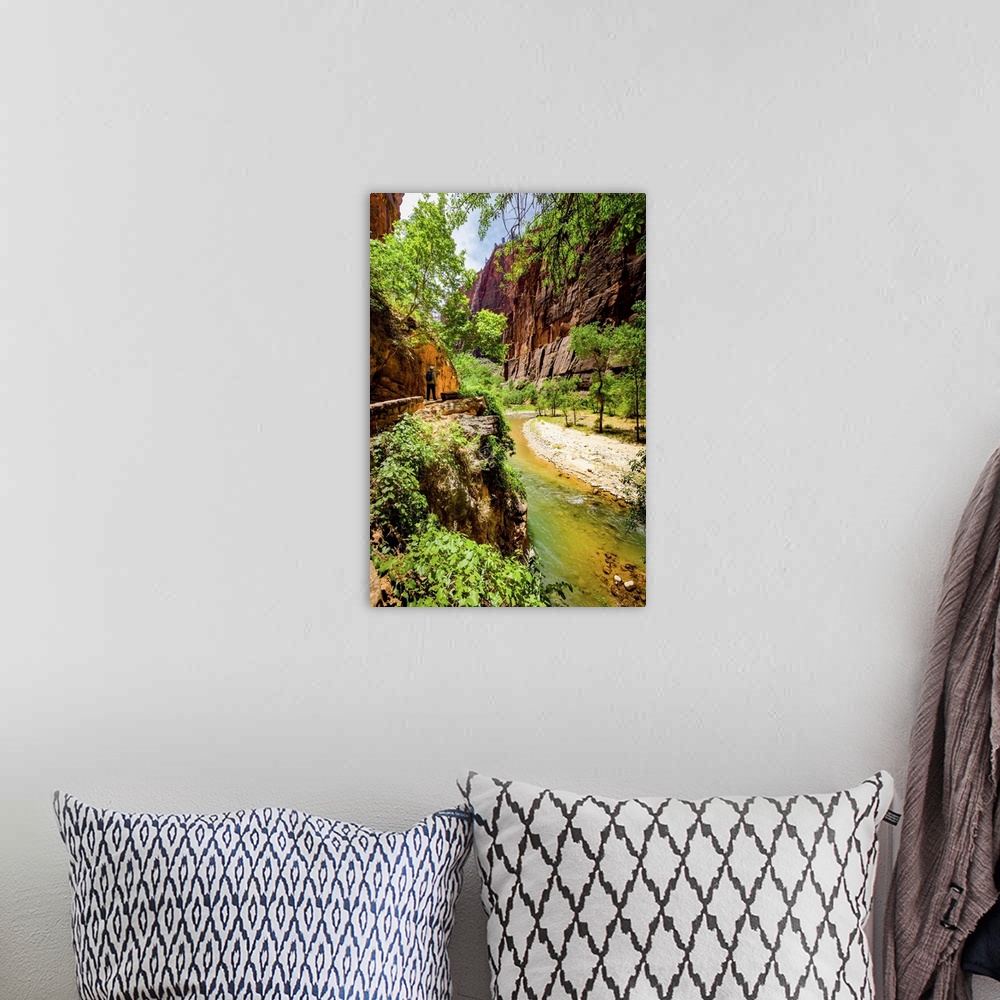 A bohemian room featuring The Narrows Canyon Trail, Zion National Park, Utah, United States of America, North America