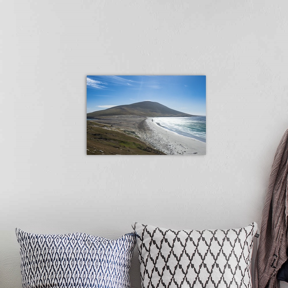 A bohemian room featuring The Neck isthmus on Saunders Island, Falklands, South America