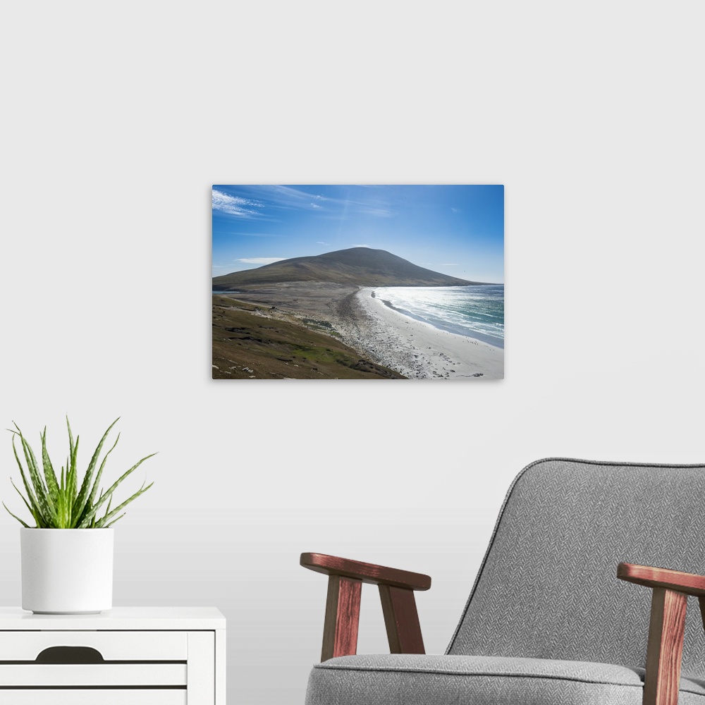 A modern room featuring The Neck isthmus on Saunders Island, Falklands, South America