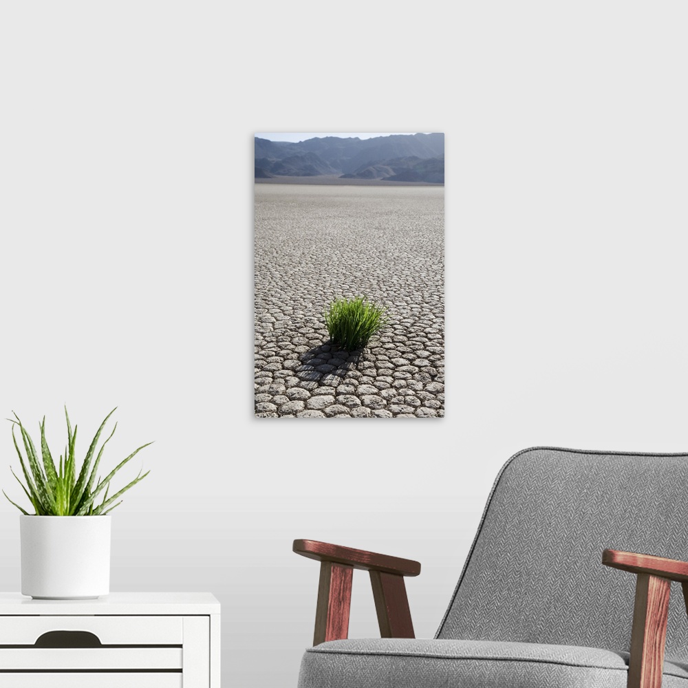 A modern room featuring The Racetrack Point, Death Valley National Park, California, USA