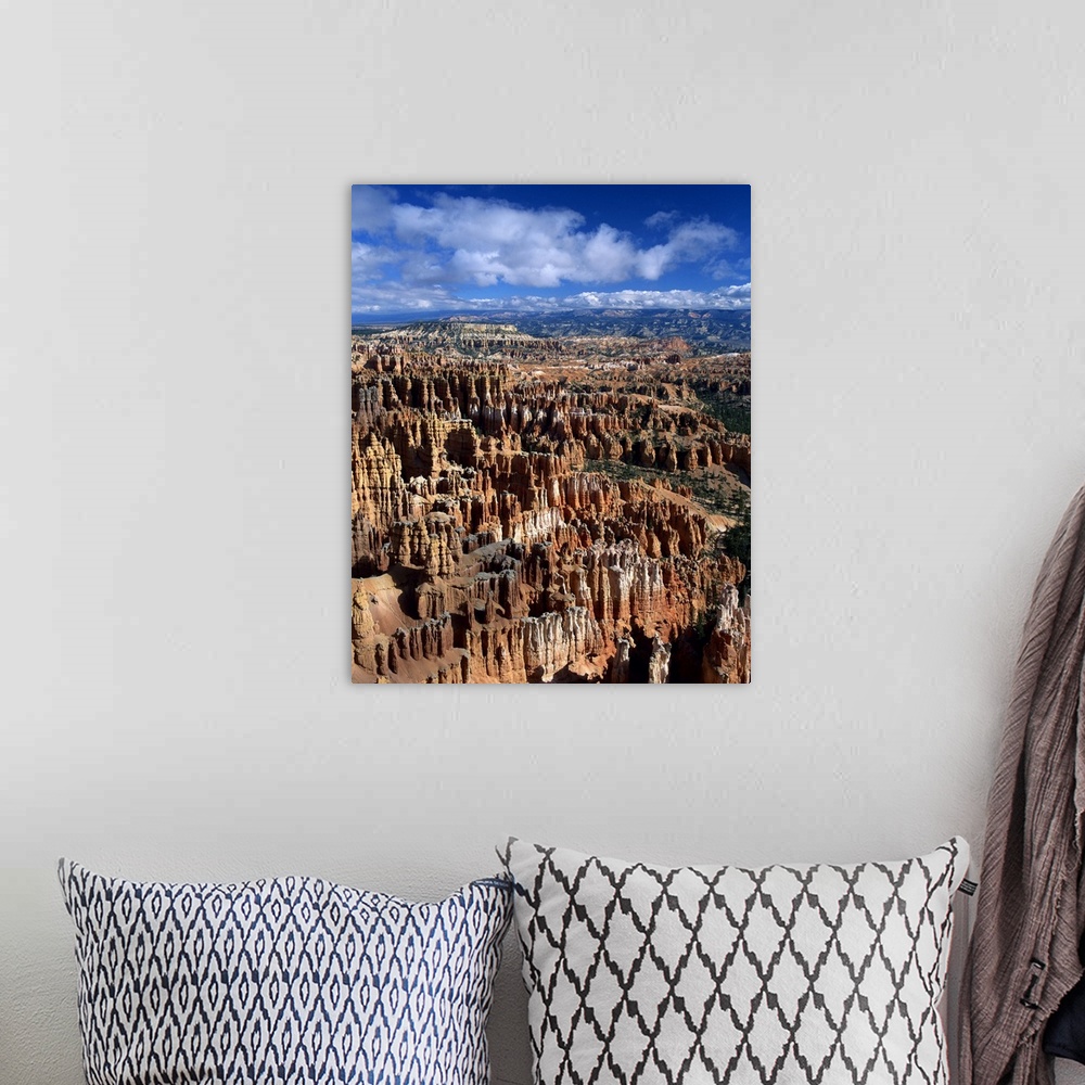 A bohemian room featuring The Silent City, from Inspiration Point, Bryce Canyon National Park, Utah