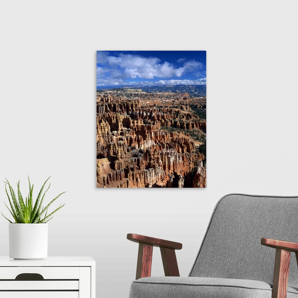 A modern room featuring The Silent City, from Inspiration Point, Bryce Canyon National Park, Utah