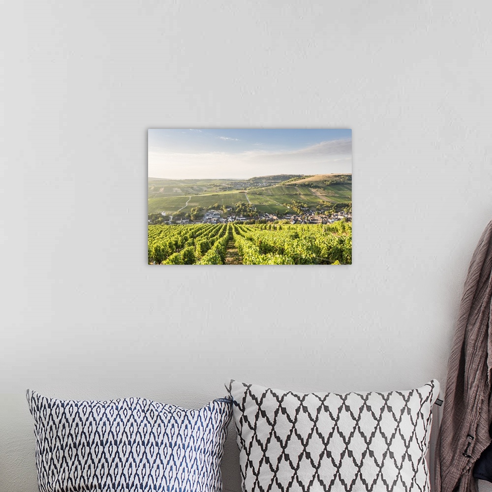 A bohemian room featuring The vineyards of Sancerre above Chavignol, Cher, Centre, France, Europe
