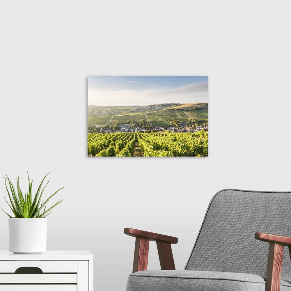 A modern room featuring The vineyards of Sancerre above Chavignol, Cher, Centre, France, Europe