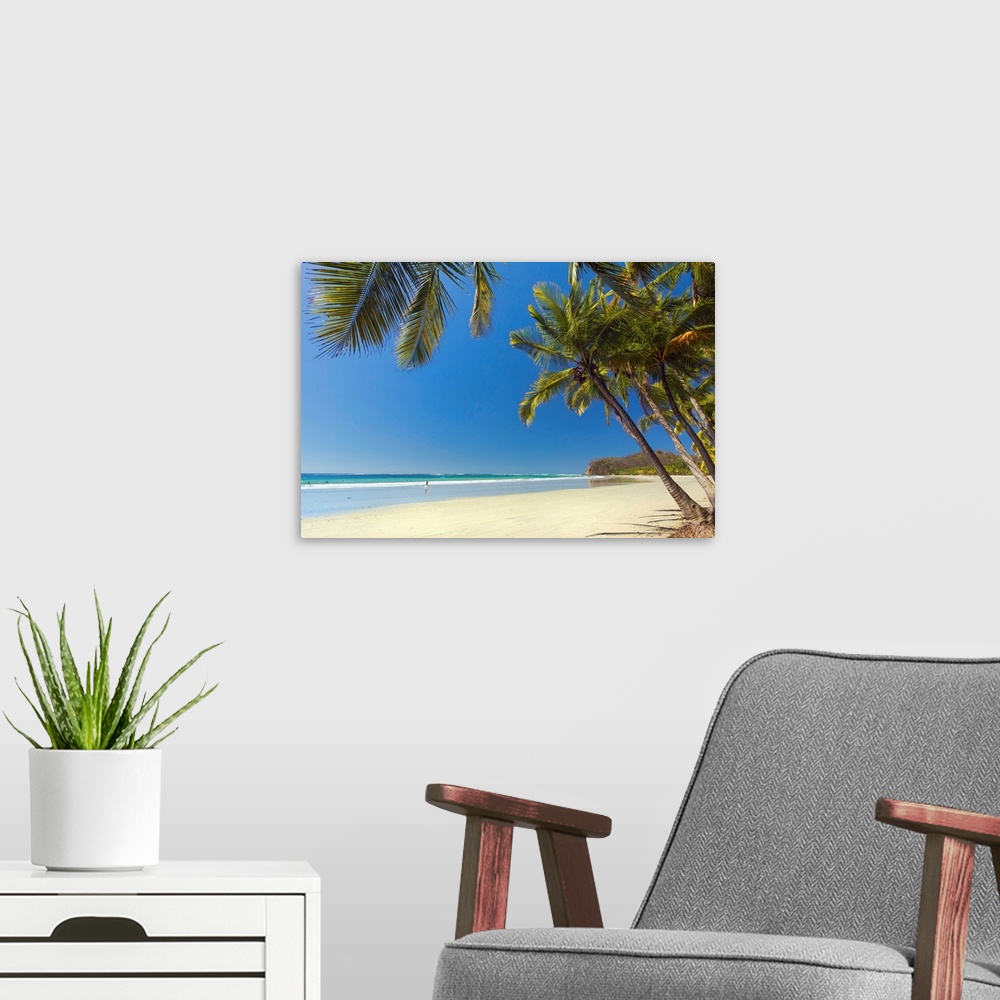 A modern room featuring The white sand palm-fringed beach, Samara, Costa Rica