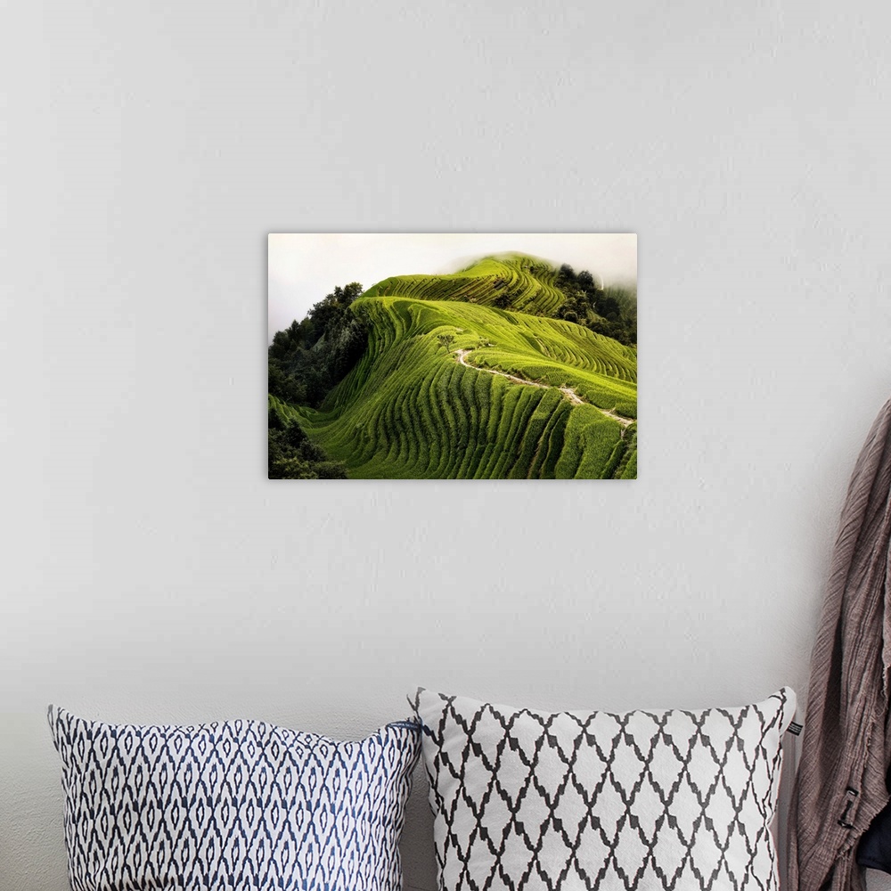 A bohemian room featuring Top view of a path in the Longsheng rice terraces also known as Dragon's Backbone rice terraces, ...