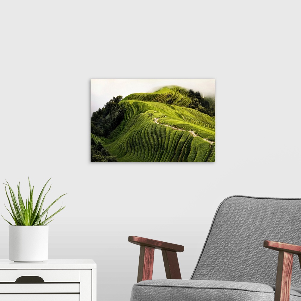 A modern room featuring Top view of a path in the Longsheng rice terraces also known as Dragon's Backbone rice terraces, ...
