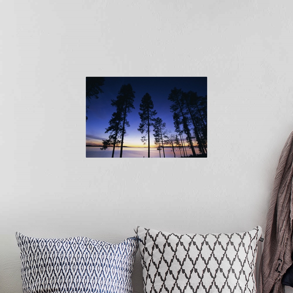 A bohemian room featuring Trees and lake at sunset, Laponia, Lappland, Sweden, Scandinavia