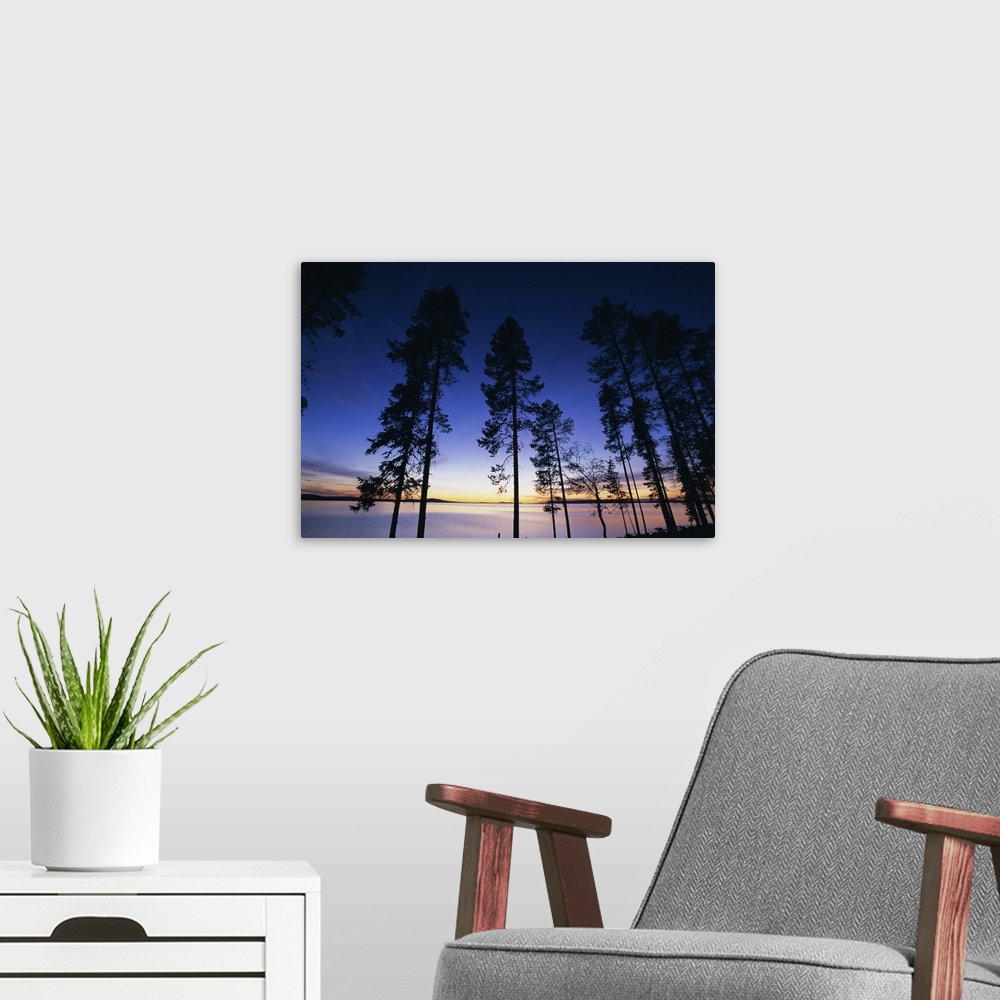 A modern room featuring Trees and lake at sunset, Laponia, Lappland, Sweden, Scandinavia