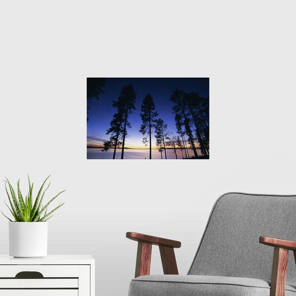 A modern room featuring Trees and lake at sunset, Laponia, Lappland, Sweden, Scandinavia