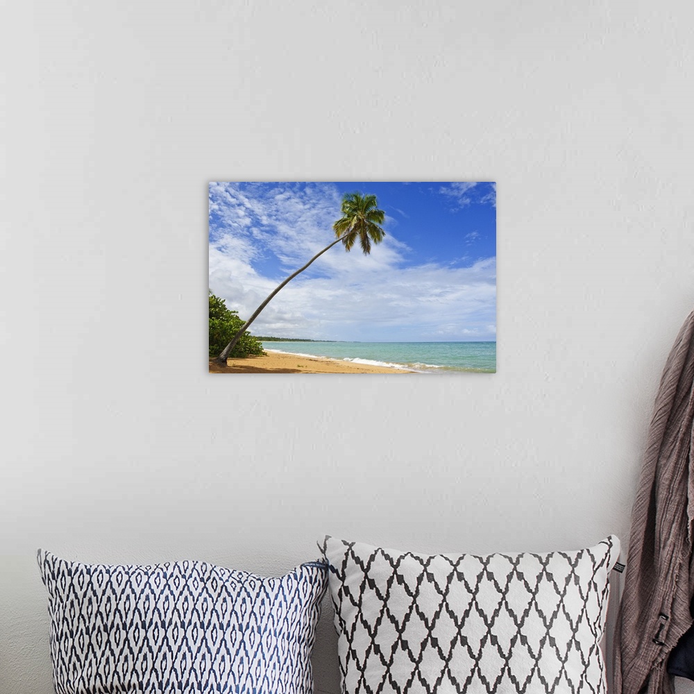 A bohemian room featuring Tres Palmitas Beach, Puerto Rico, West Indies, Caribbean, Central America