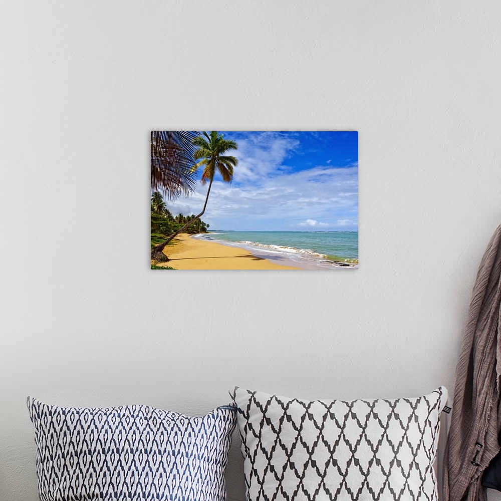 A bohemian room featuring Tres Palmitas Beach, Puerto Rico, West Indies, Caribbean, Central America