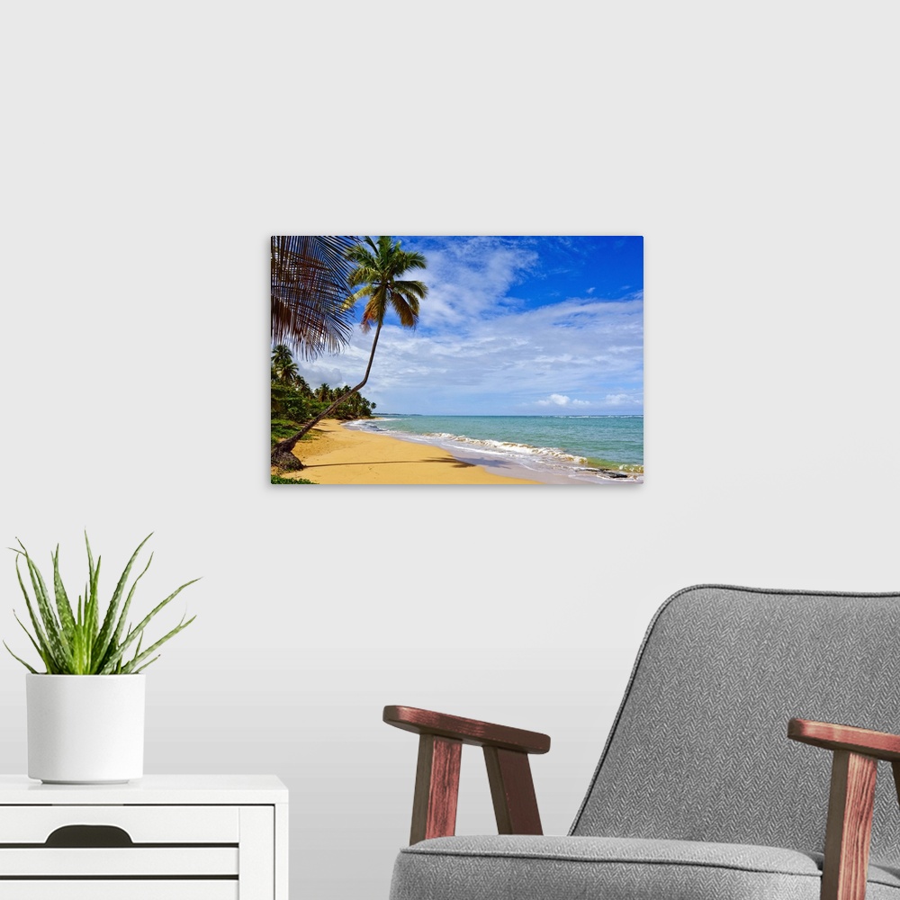 A modern room featuring Tres Palmitas Beach, Puerto Rico, West Indies, Caribbean, Central America
