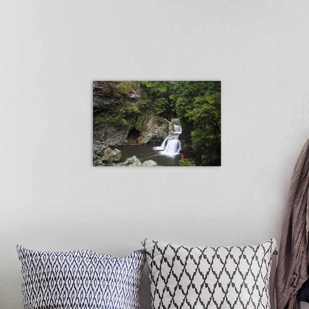 A bohemian room featuring Twin Falls, Lynn Canyon Park, Vancouver, British Columbia, Canada, North America