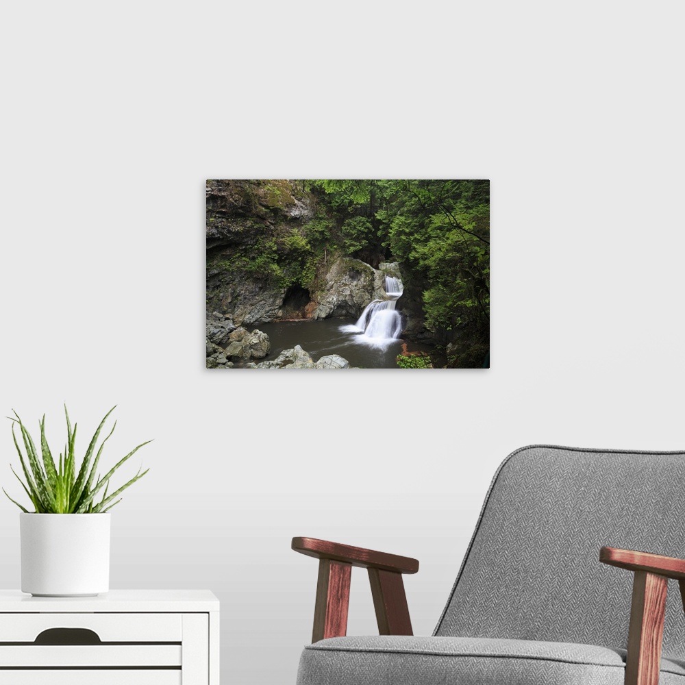 A modern room featuring Twin Falls, Lynn Canyon Park, Vancouver, British Columbia, Canada, North America
