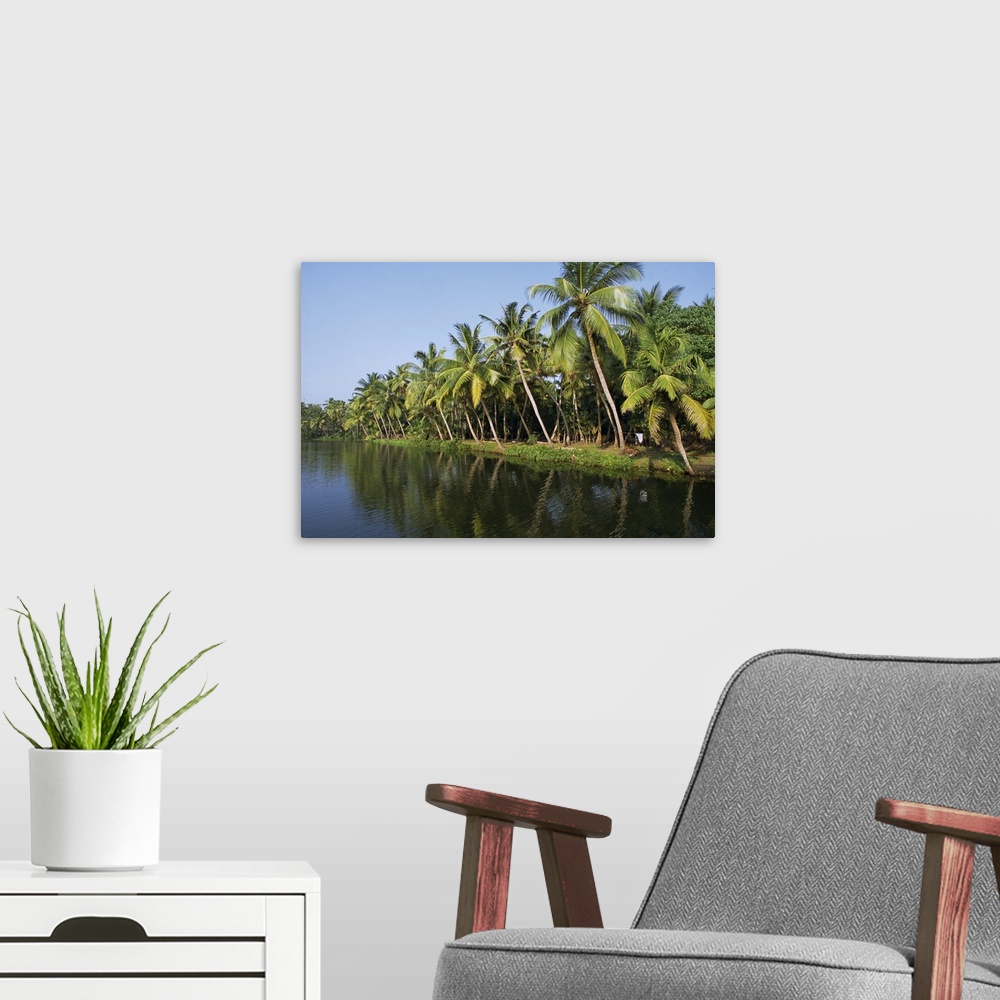 A modern room featuring Typical backwater scene, waterway fringed by palm trees, Kerala, India