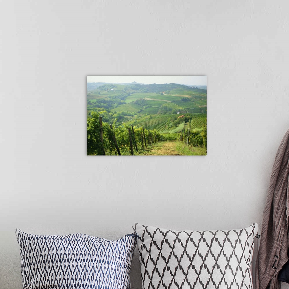 A bohemian room featuring Typical landscape of vines in the Colli Piacentini, Piacenza, Emilia Romagna, Italy
