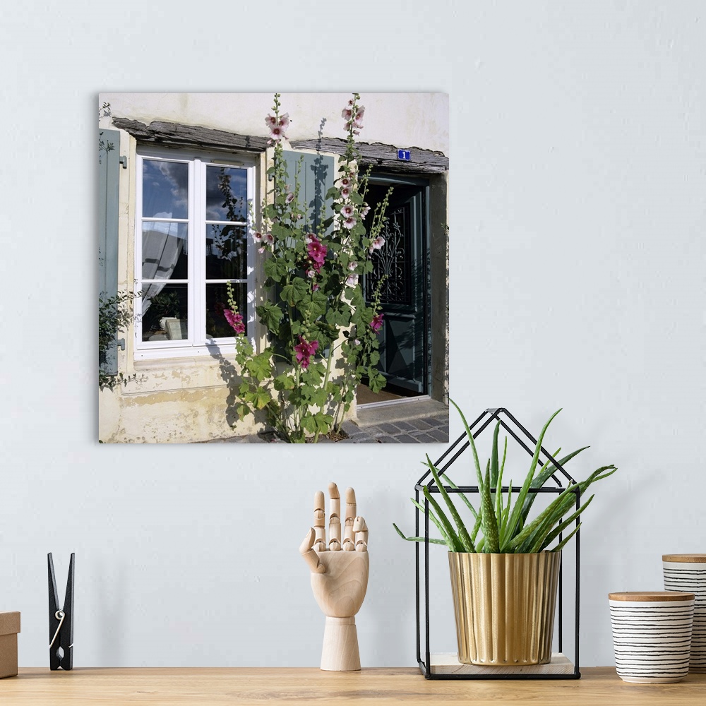 A bohemian room featuring Typical scene of shuttered windows and hollyhocks, St. Martin, France
