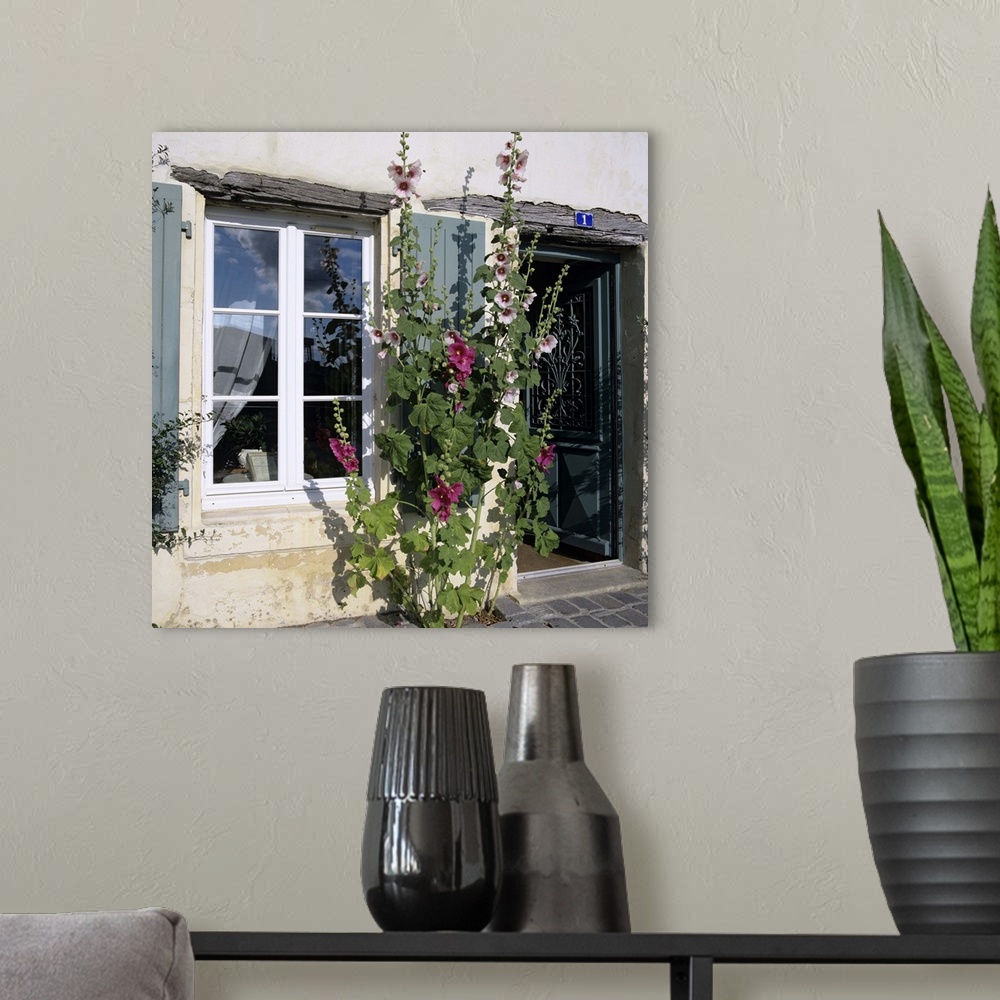 A modern room featuring Typical scene of shuttered windows and hollyhocks, St. Martin, France