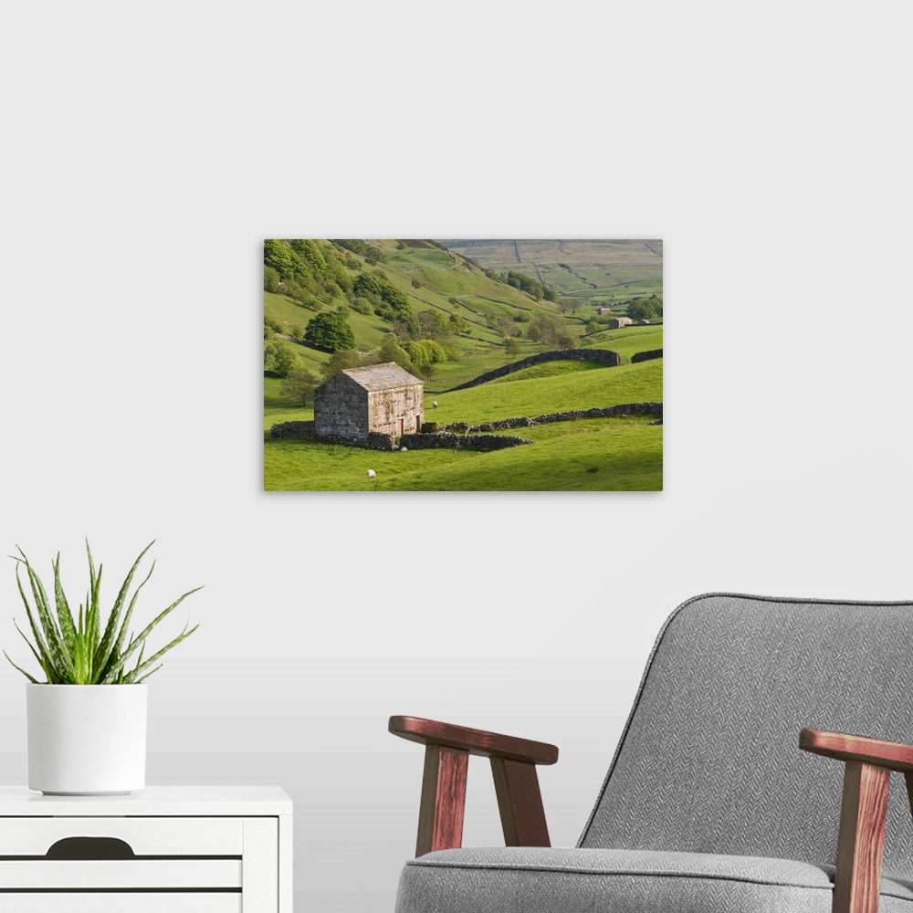 A modern room featuring Typical stone barns near Keld in Swaledale, Yorkshire Dales National Park, England