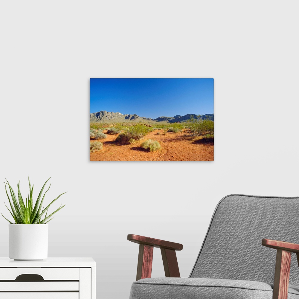 A modern room featuring Valley of Fire State Park, Mojave Desert, Nevada