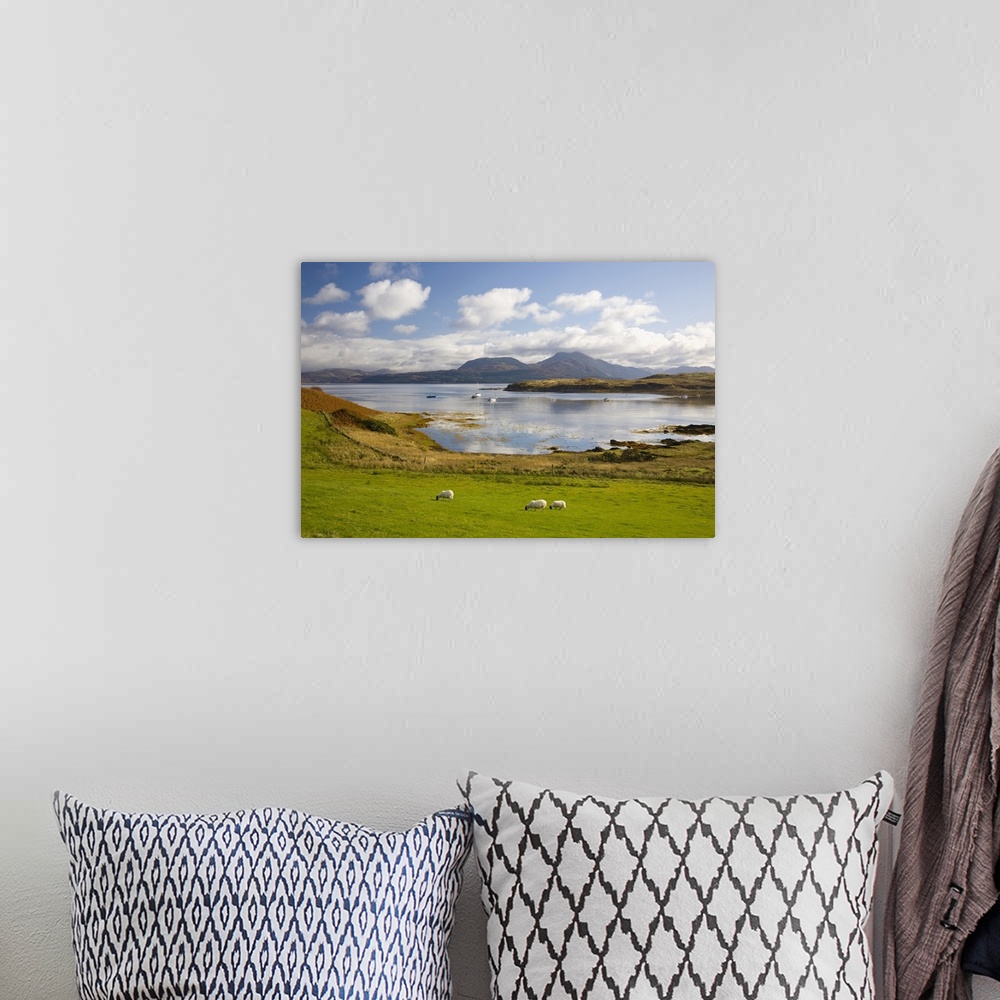 A bohemian room featuring View across harbour to the Sound of Sleat and hills of the Knoydart Peninsula, sheep grazing, Isl...