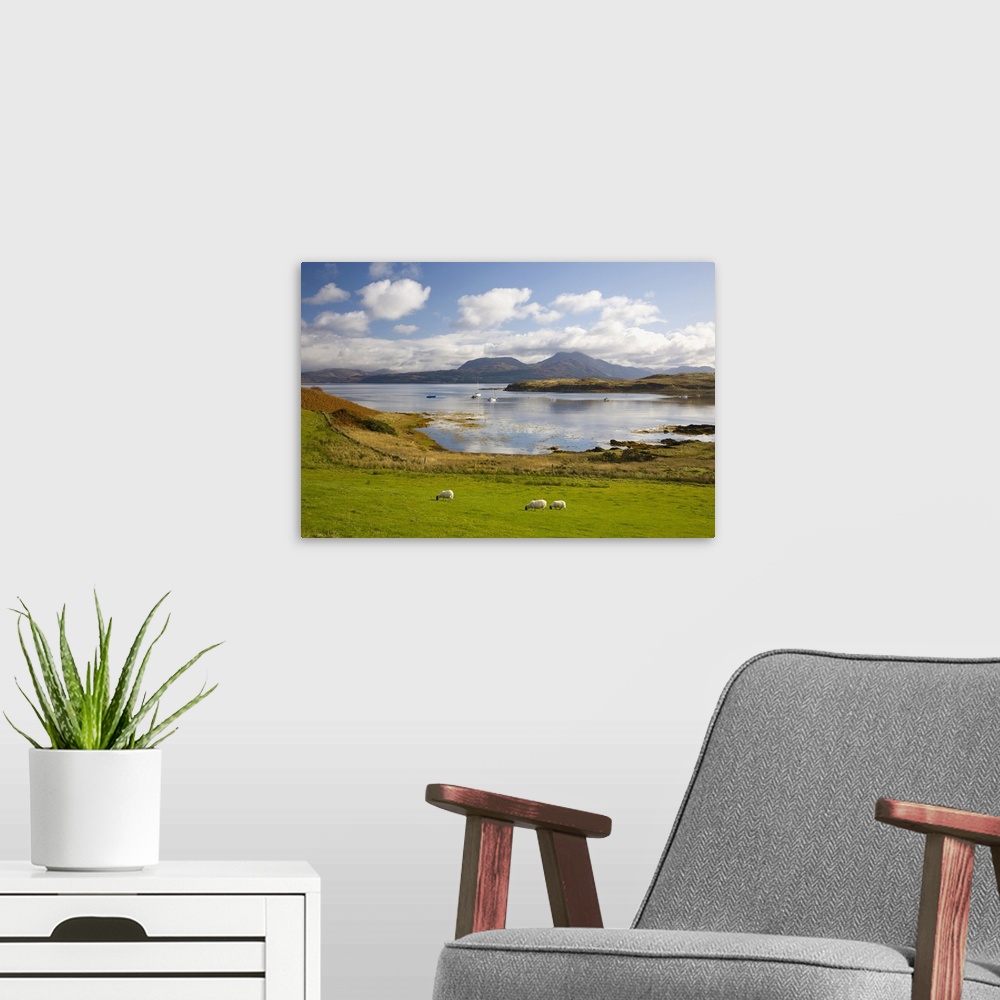 A modern room featuring View across harbour to the Sound of Sleat and hills of the Knoydart Peninsula, sheep grazing, Isl...