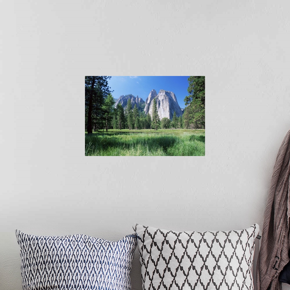 A bohemian room featuring View across meadows to Cathedral Rocks, Yosemite National Park, California, USA