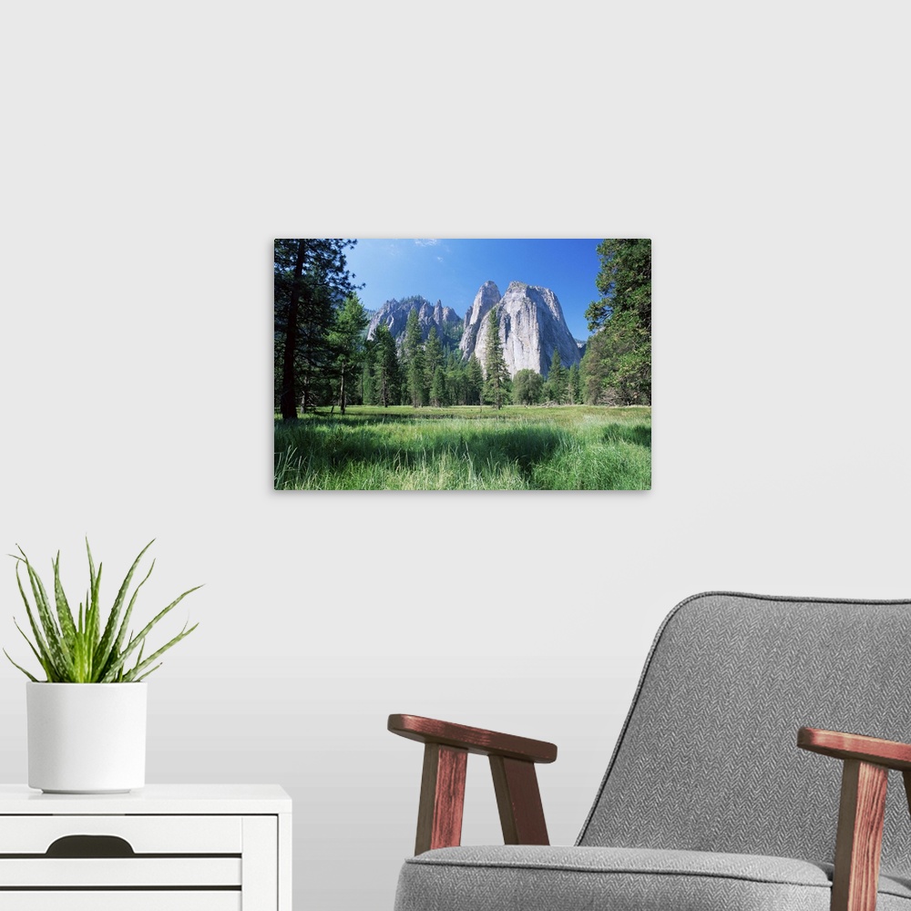A modern room featuring View across meadows to Cathedral Rocks, Yosemite National Park, California, USA