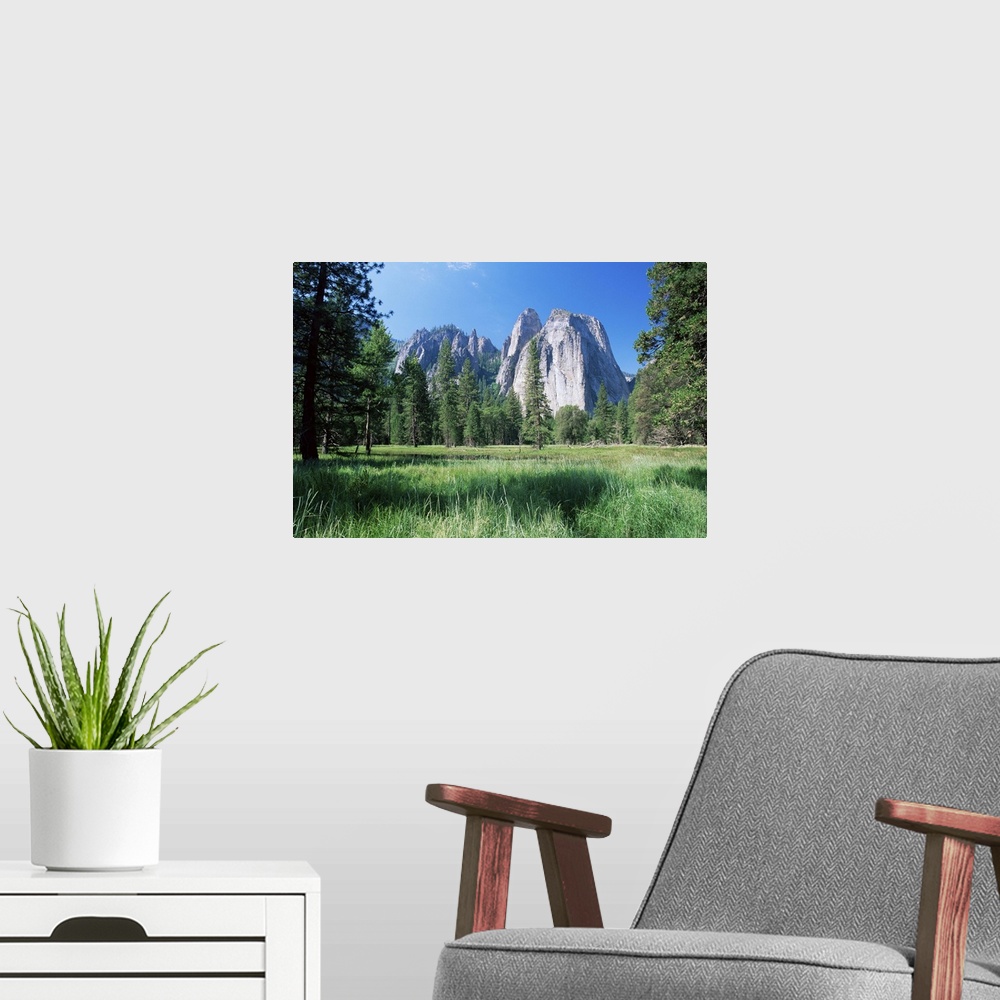 A modern room featuring View across meadows to Cathedral Rocks, Yosemite National Park, California, USA