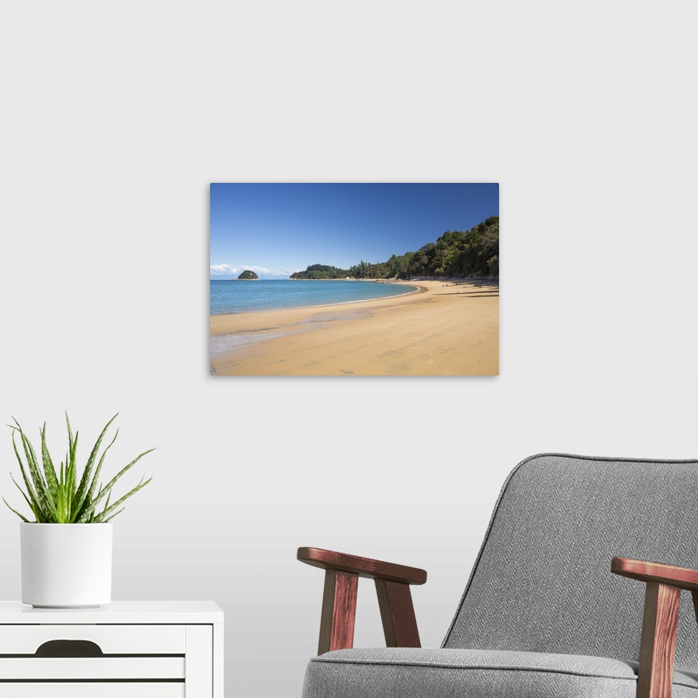 A modern room featuring View along the sandy beach at Towers Bay, Kaiteriteri, Tasman, South Island, New Zealand, Pacific