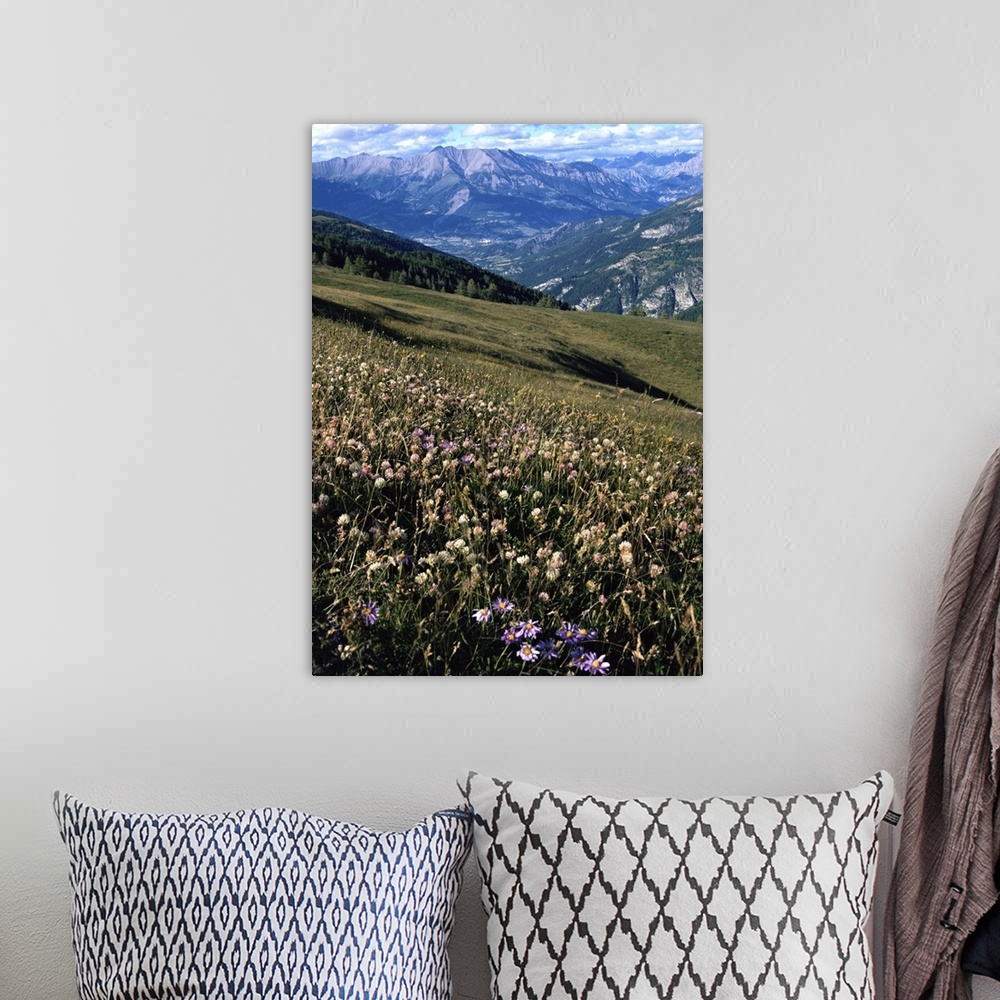 A bohemian room featuring View from Col d'Allos, Alpes-de-Haute-Provence, Provence, France
