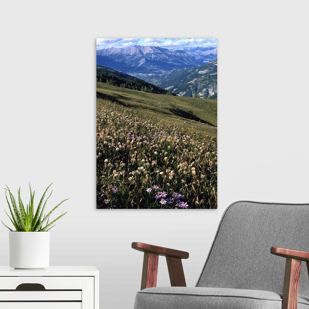 A modern room featuring View from Col d'Allos, Alpes-de-Haute-Provence, Provence, France