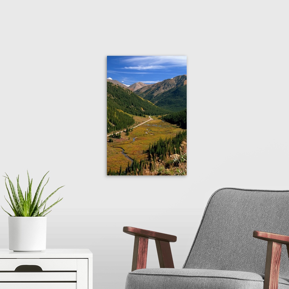 A modern room featuring View from Independence Pass, Colorado, United States of America, North America