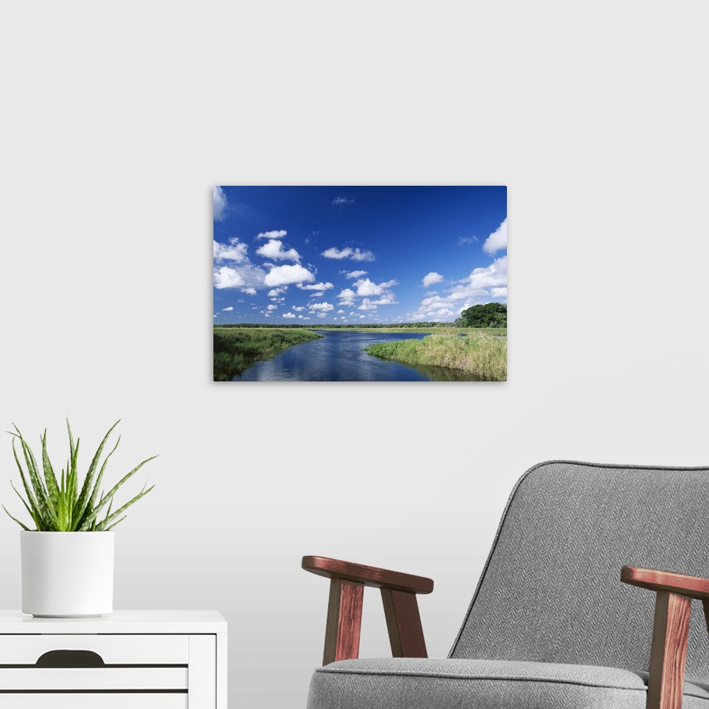 A modern room featuring View from riverbank of white clouds and blue sky, Myakka River State Park, Florida, USA