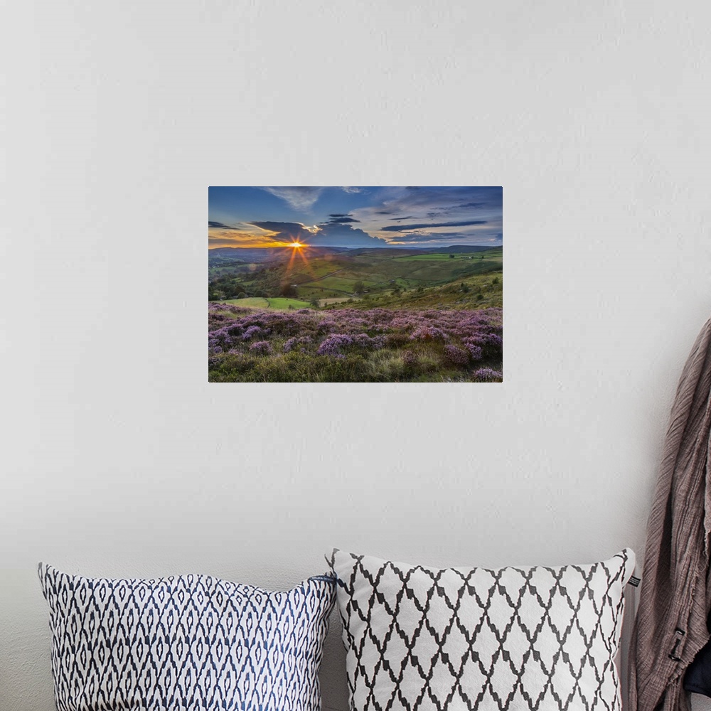 A bohemian room featuring View of flowering heather on Stanage Edge and Hope Valley at sunset, Hathersage, Peak District Na...