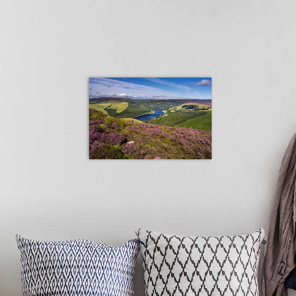 A bohemian room featuring View of Upper Derwent Reservoir and flowering heather in August from Derwent Edge, Peak District ...