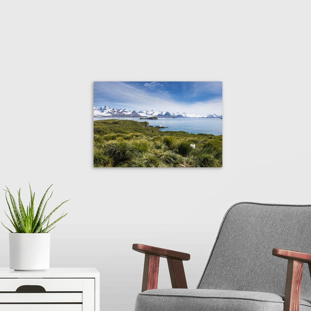 A modern room featuring View over Prion Island, South Georgia, Antarctica, Polar Regions